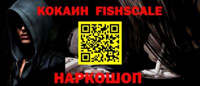 крисы Пенза
