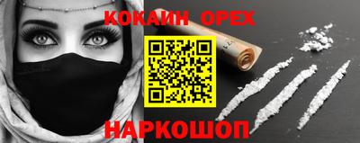 крисы Пенза