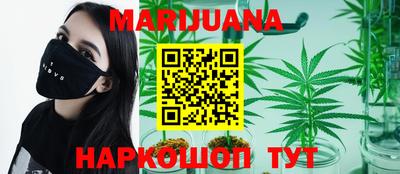 крисы Пенза