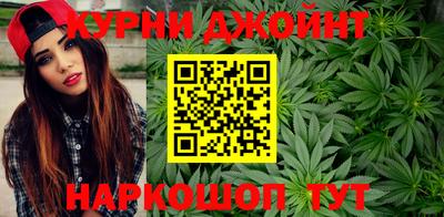 крисы Пенза