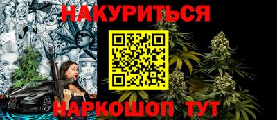 крисы Пенза