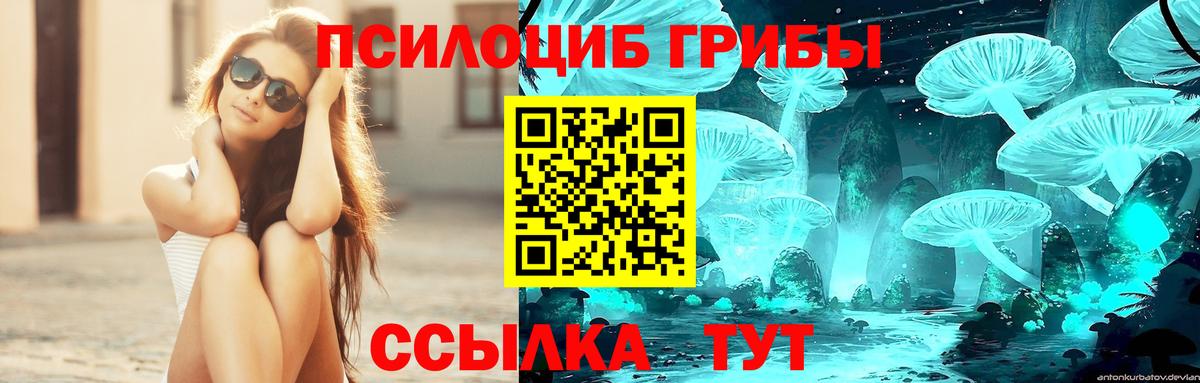 Псилоцибиновые грибы Cubensis  Вход с VPN  Славгород 